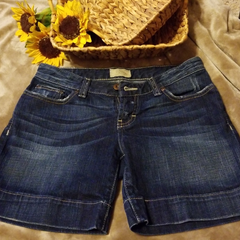 BKE shorts